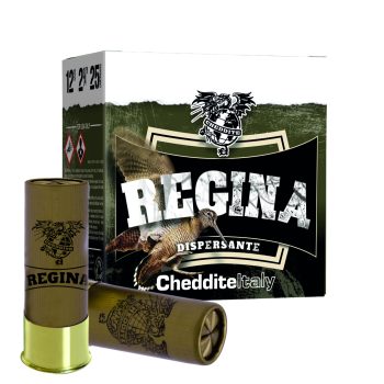 2_REGINA_12