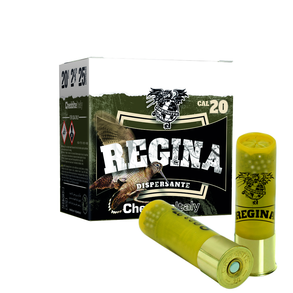 3_REGINA_20