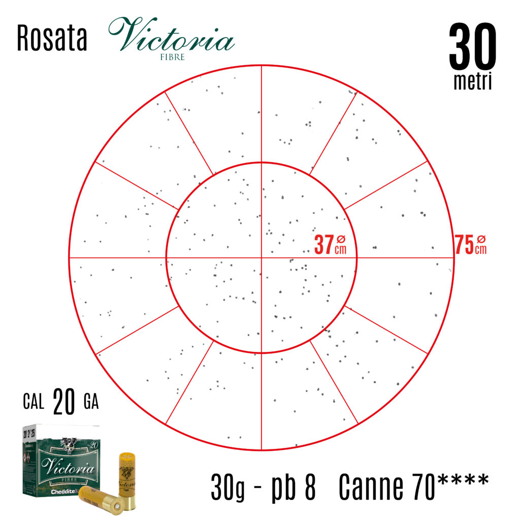 ROSATA_VICTORIA_cal20