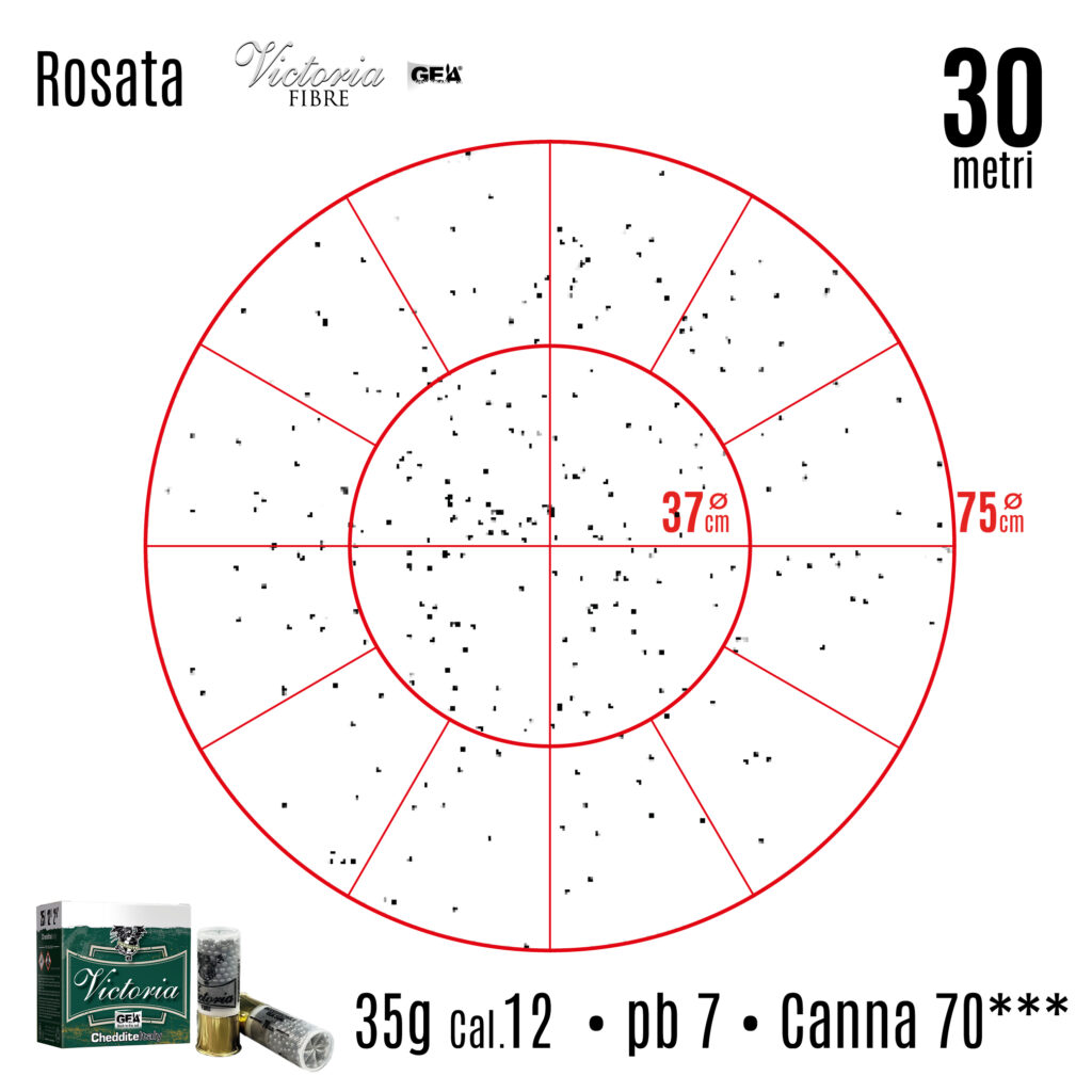 CHENG B435G (1)